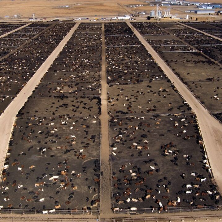 Crowley_Cty_Ordway_04..jpg?fit=1200%2C717&ssl=1 Crowley_Cty_Ordway_04..jpg?fit=1200%2C717&ssl=1