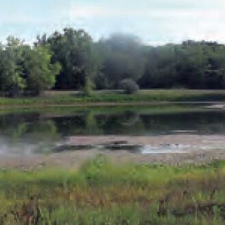 farm-pond-893x328.jpg farm-pond-893x328.jpg