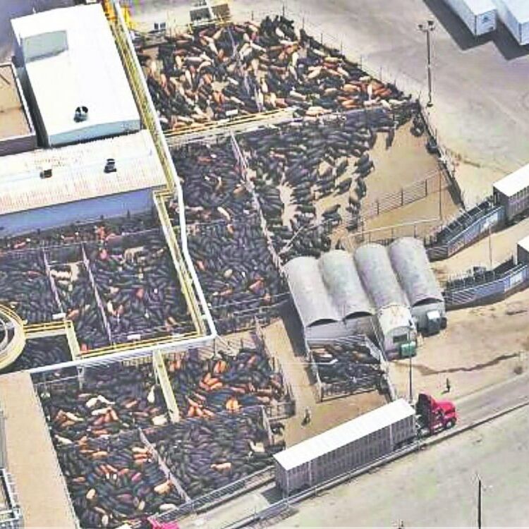 jbs-tsln-122218-1240x750.jpg jbs-tsln-122218-1240x750.jpg